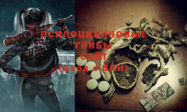MDMA Premium VHQ Белокуриха