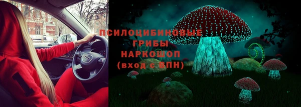 дживик Беломорск
